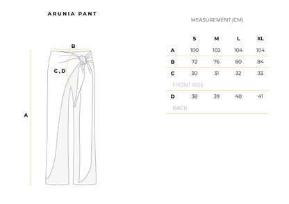 Arunia Pant in Black